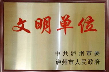 中共泸州市委市政府文明单位