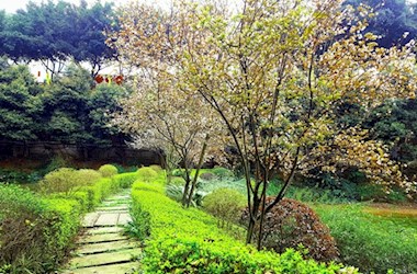 园区风景