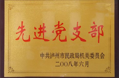 中共泸州市民政局机关委员会先进党支部