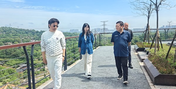 兴泸投资集团党委委员、常务副总经理陈兵带队检查南寿山公司“五一”节前安全生产工作
