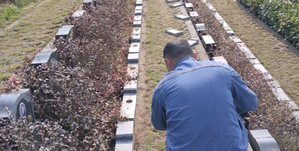 精细施作夯基础墓区地平供台维护工作落地见效