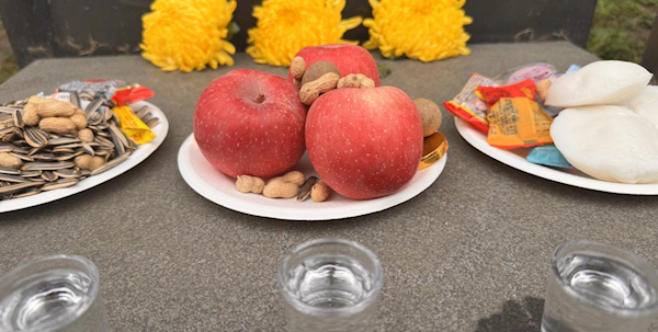 【马跃新春 福泽绵长】大年初六·心有所寄     ——南寿山人文纪念公园正月初六祭扫纪实